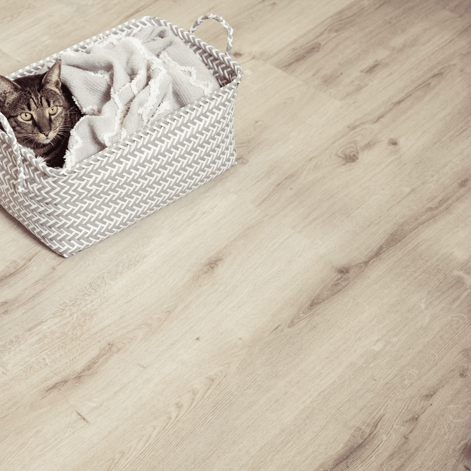 A cat is laying in a basket on the floor