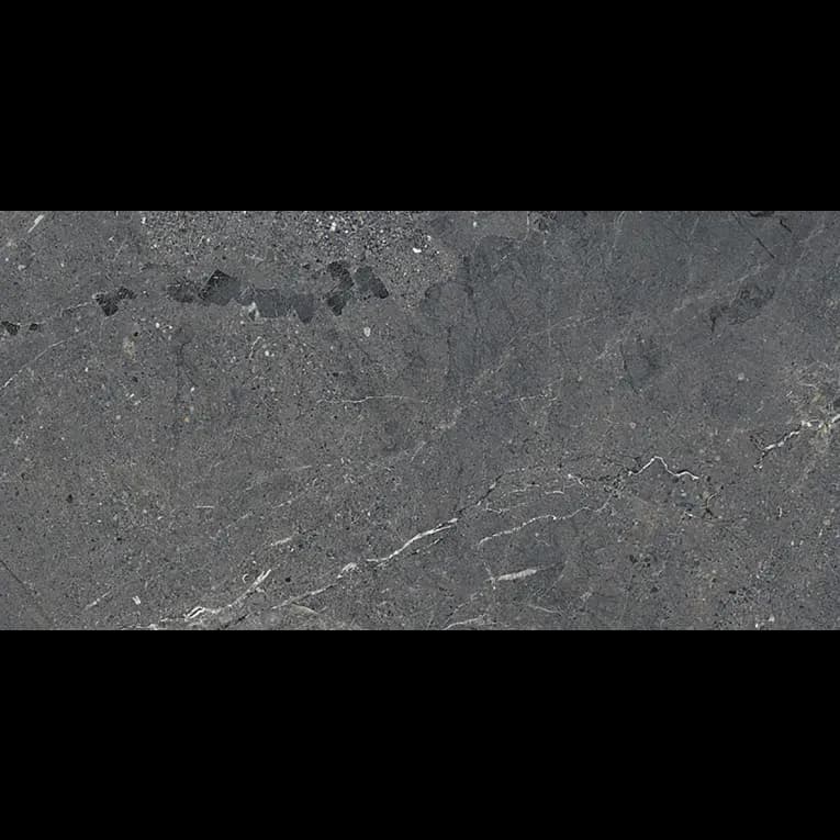 A gray stone surface with some white spots