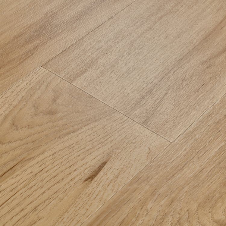 Mannington Adura Flex Preservation Fossil