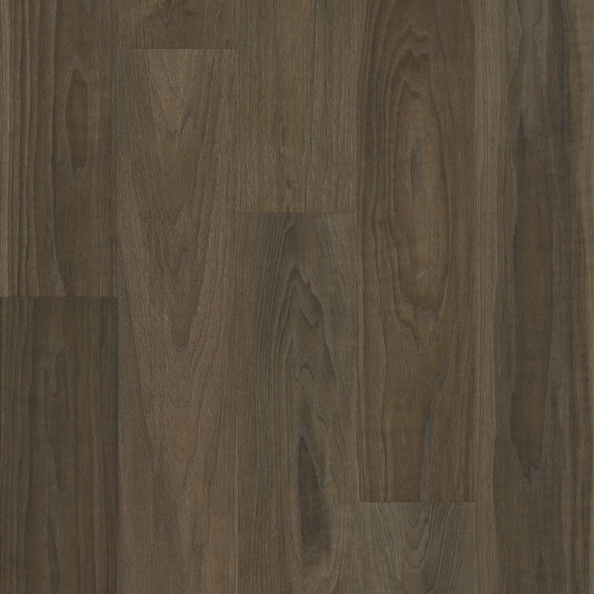 A close up of the wood grain on the floor