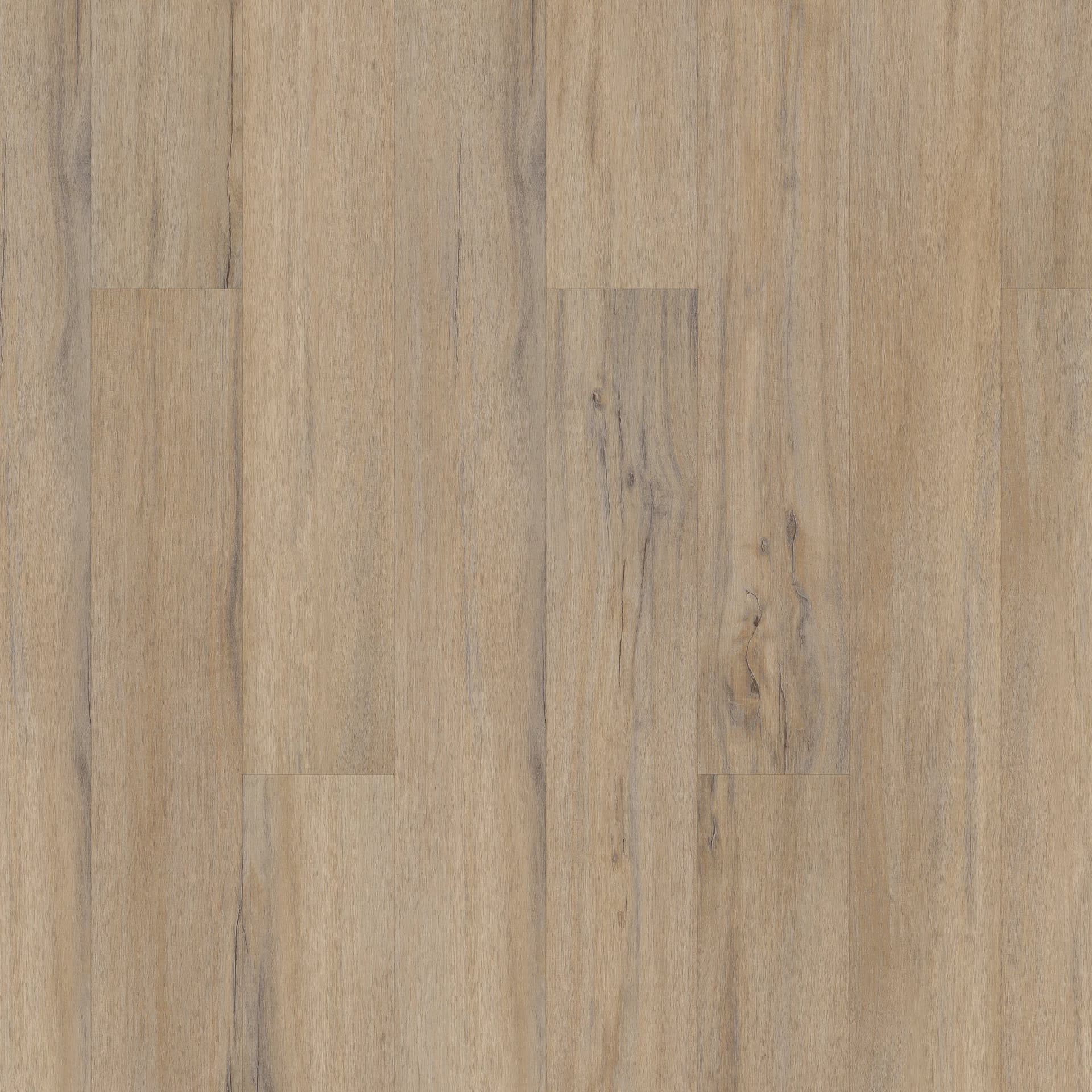 A close up of the wood grain on the floor