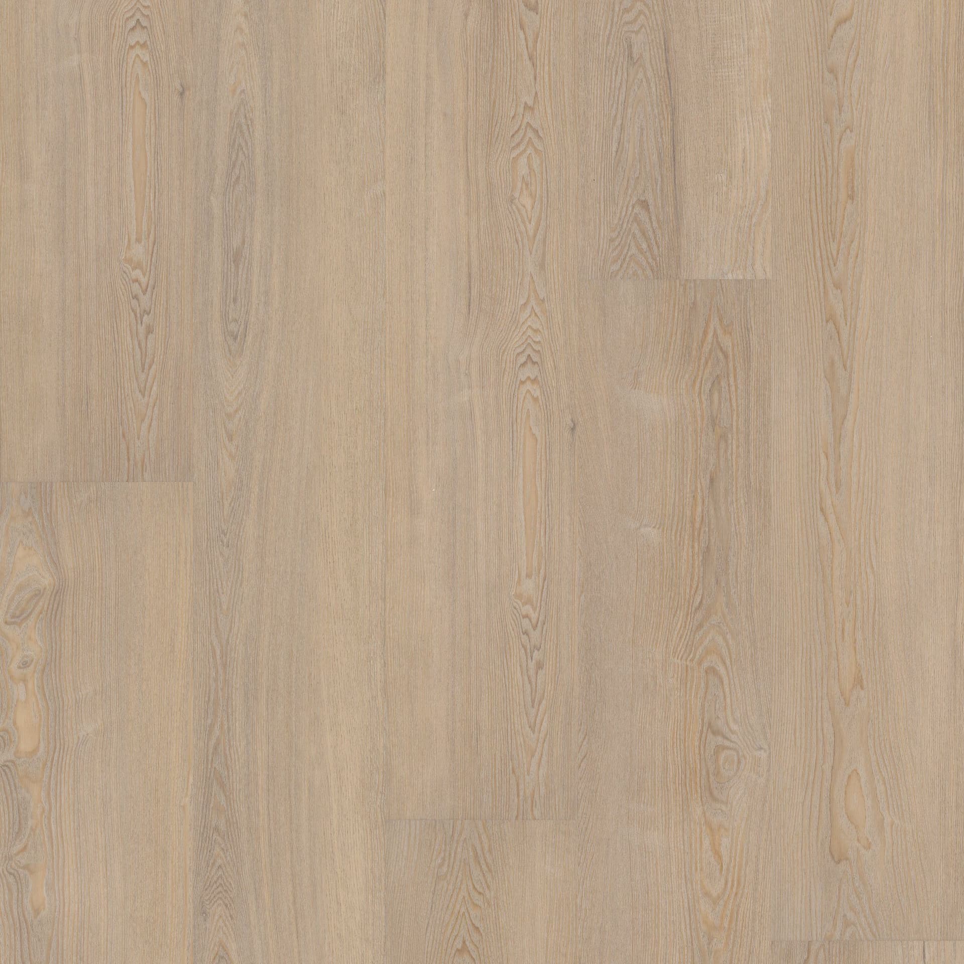 A close up of the wood grain on the floor