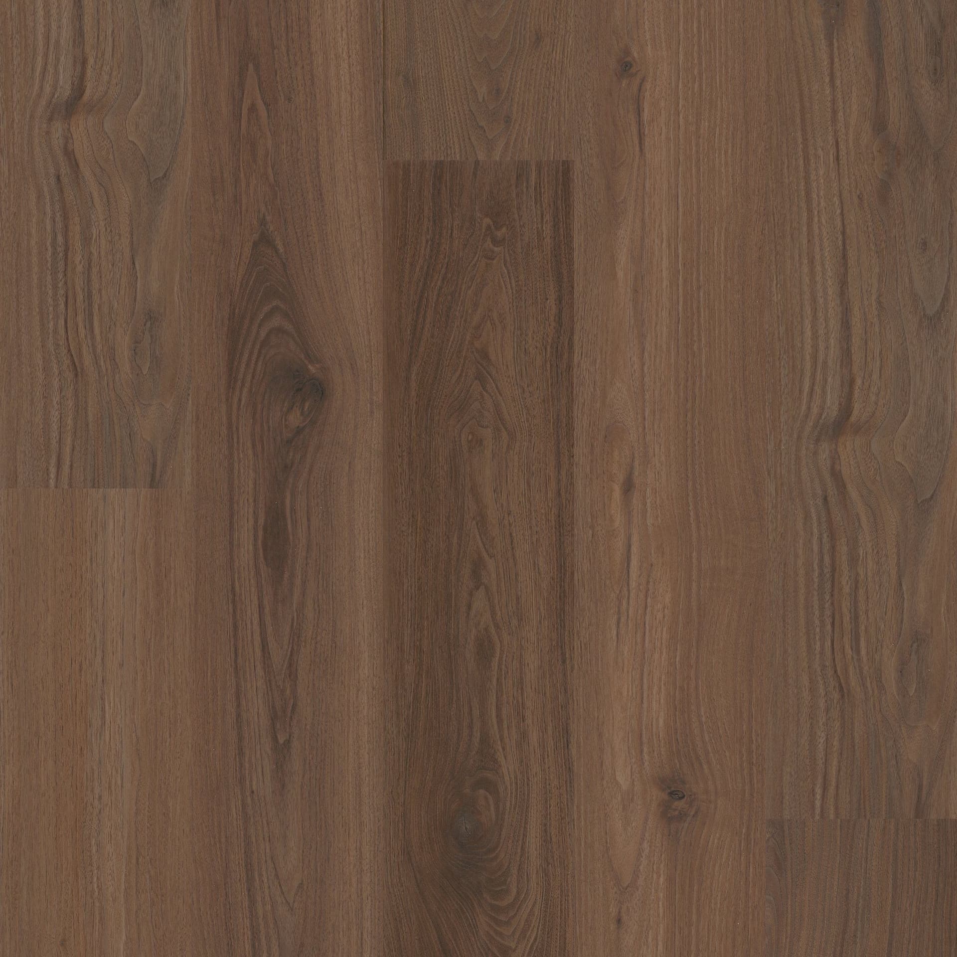 A close up of the wood grain on the floor