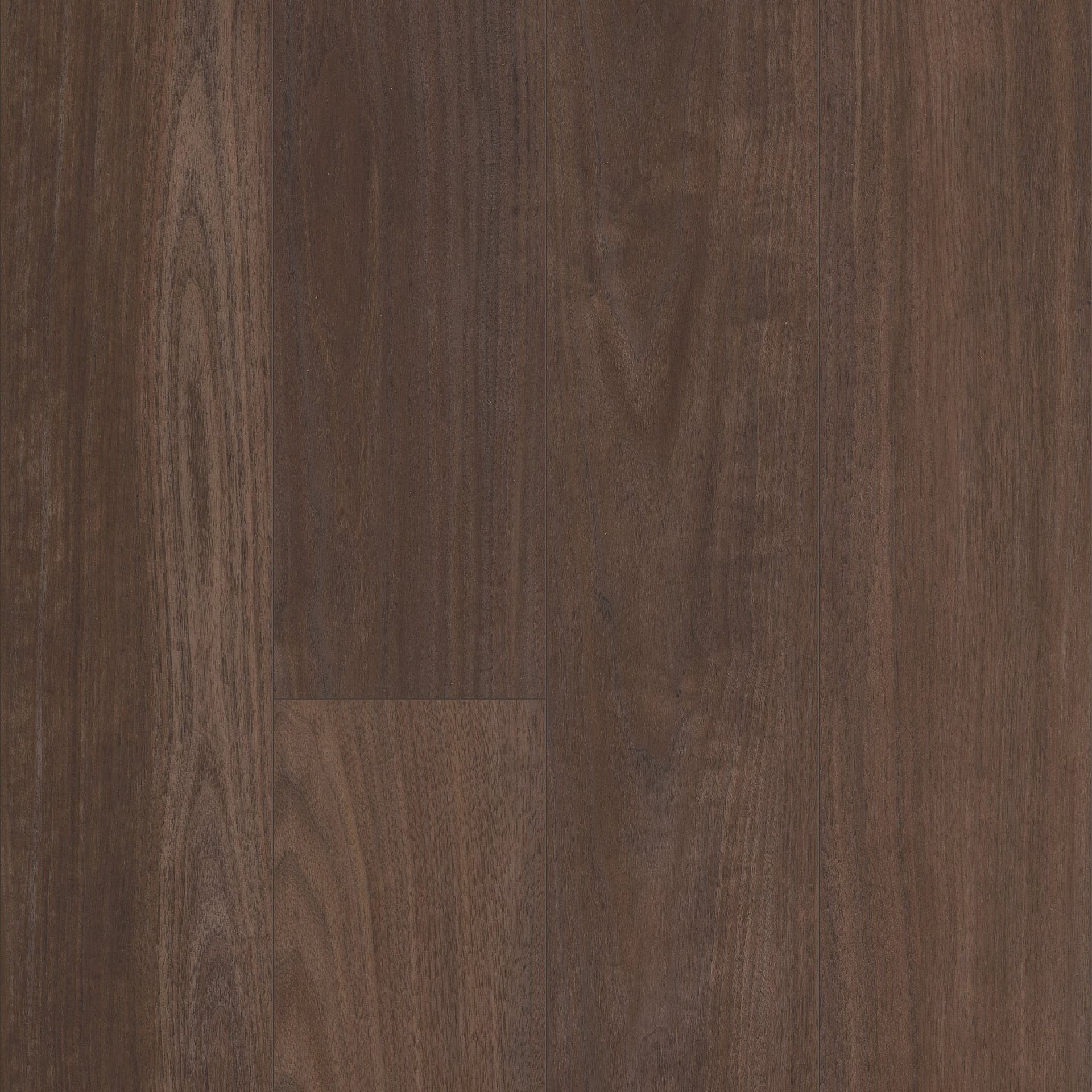 A close up of the wood grain on the floor