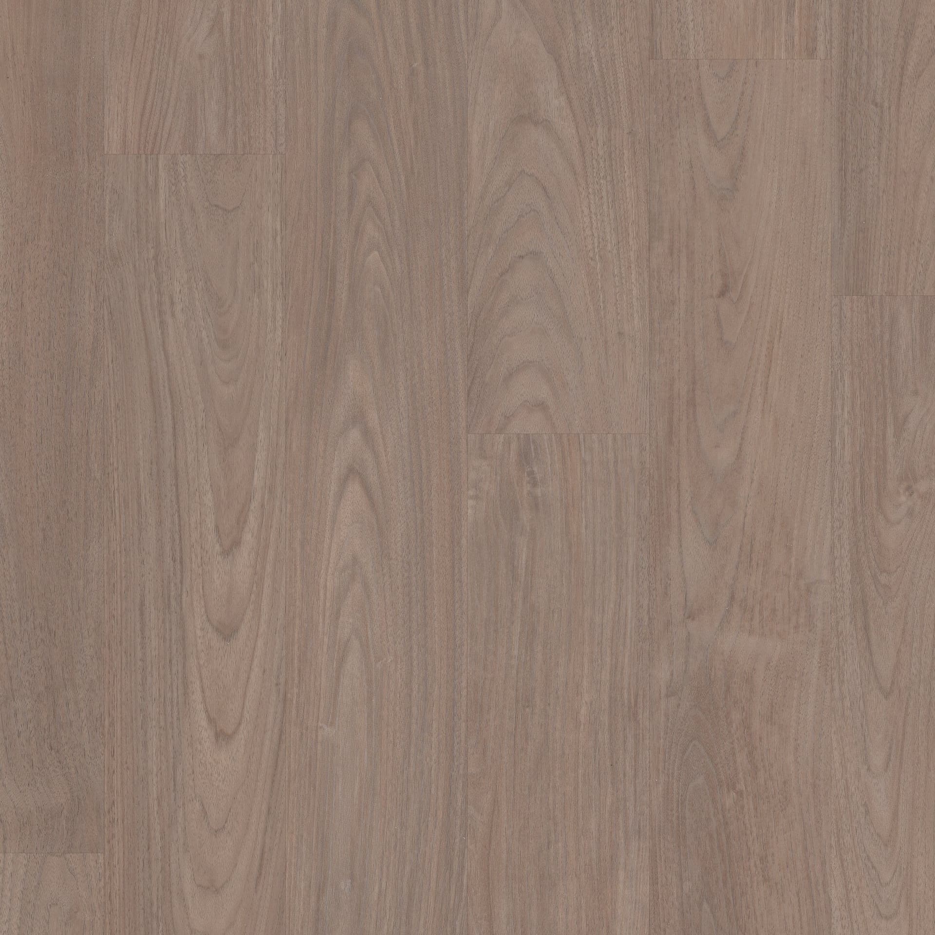A close up of the wood grain on the floor.