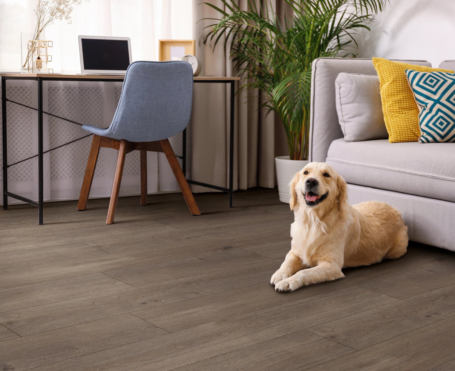 A dog laying on the floor of a living room.