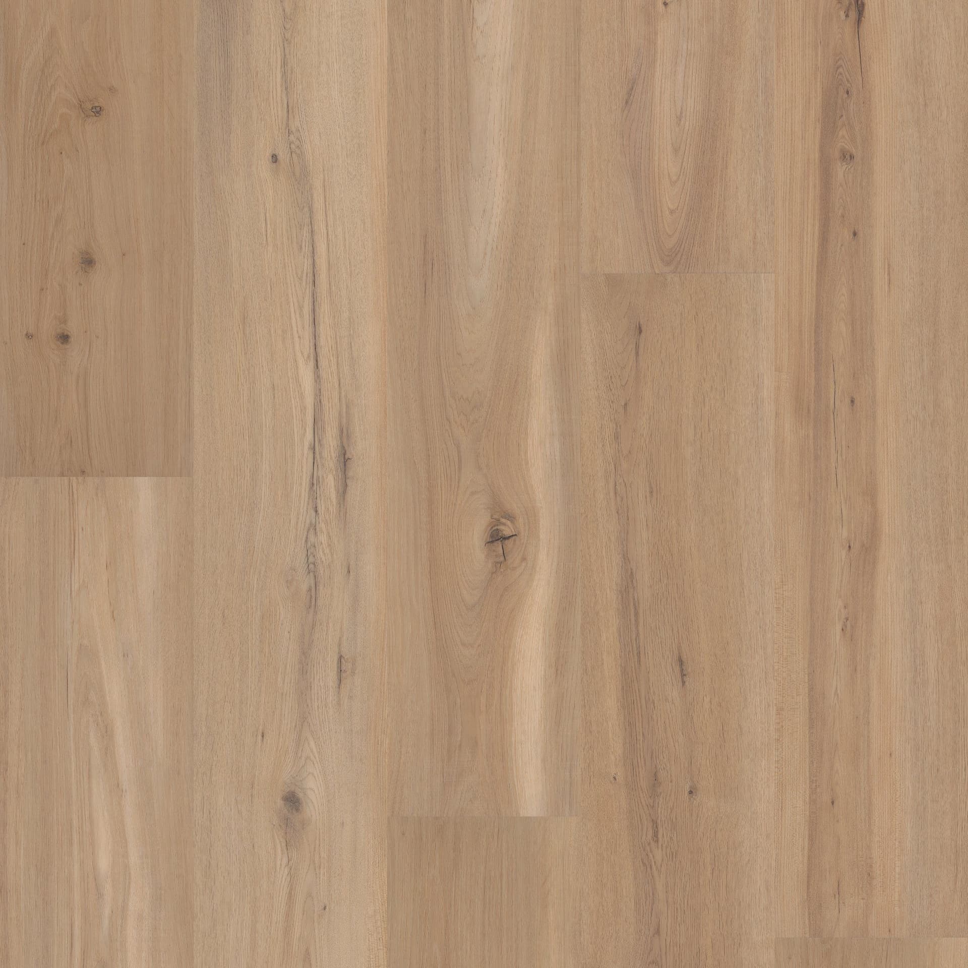 A close up of the wood grain on the floor