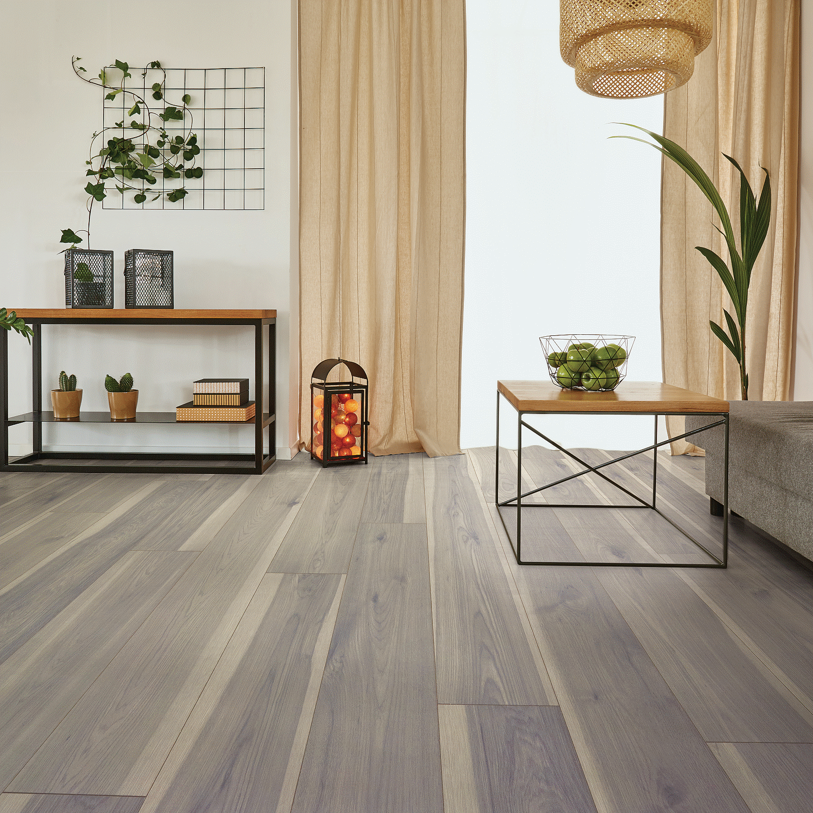 A living room with wooden floors and a plant.