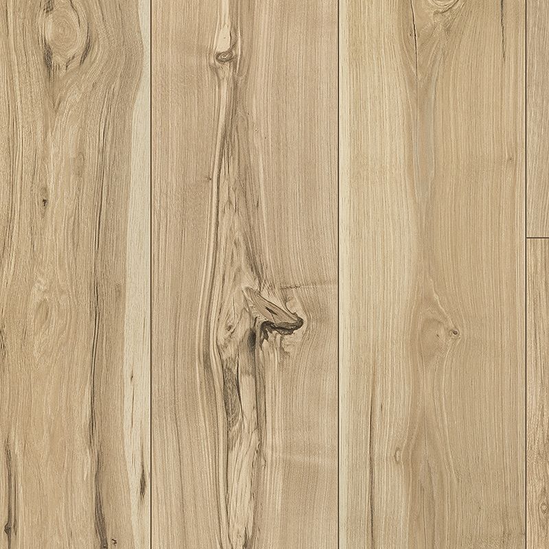 A close up of the wood grain on the wall.