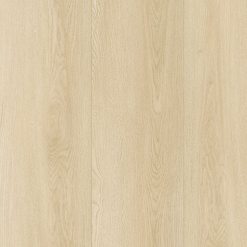 A close up of the wood grain on the floor