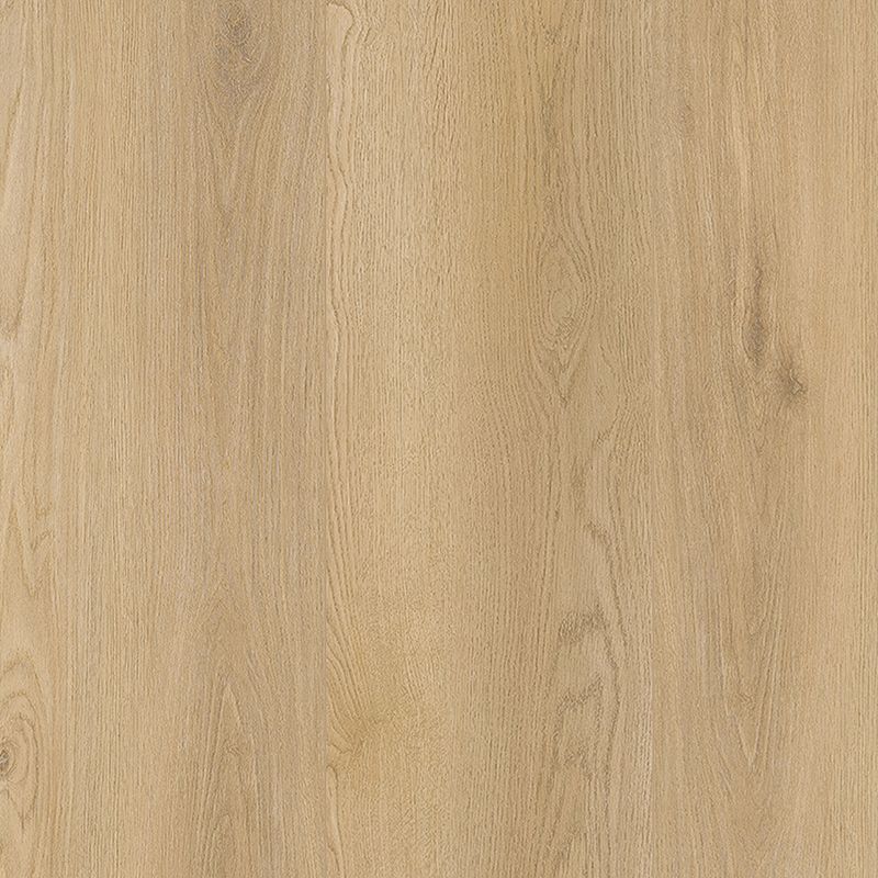 A close up of the wood grain on the floor