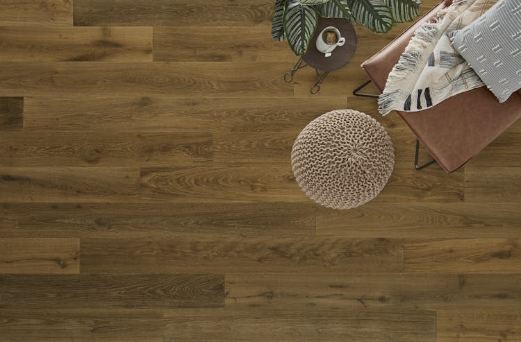 Mannington Sanctuary Wilflower - Image 2