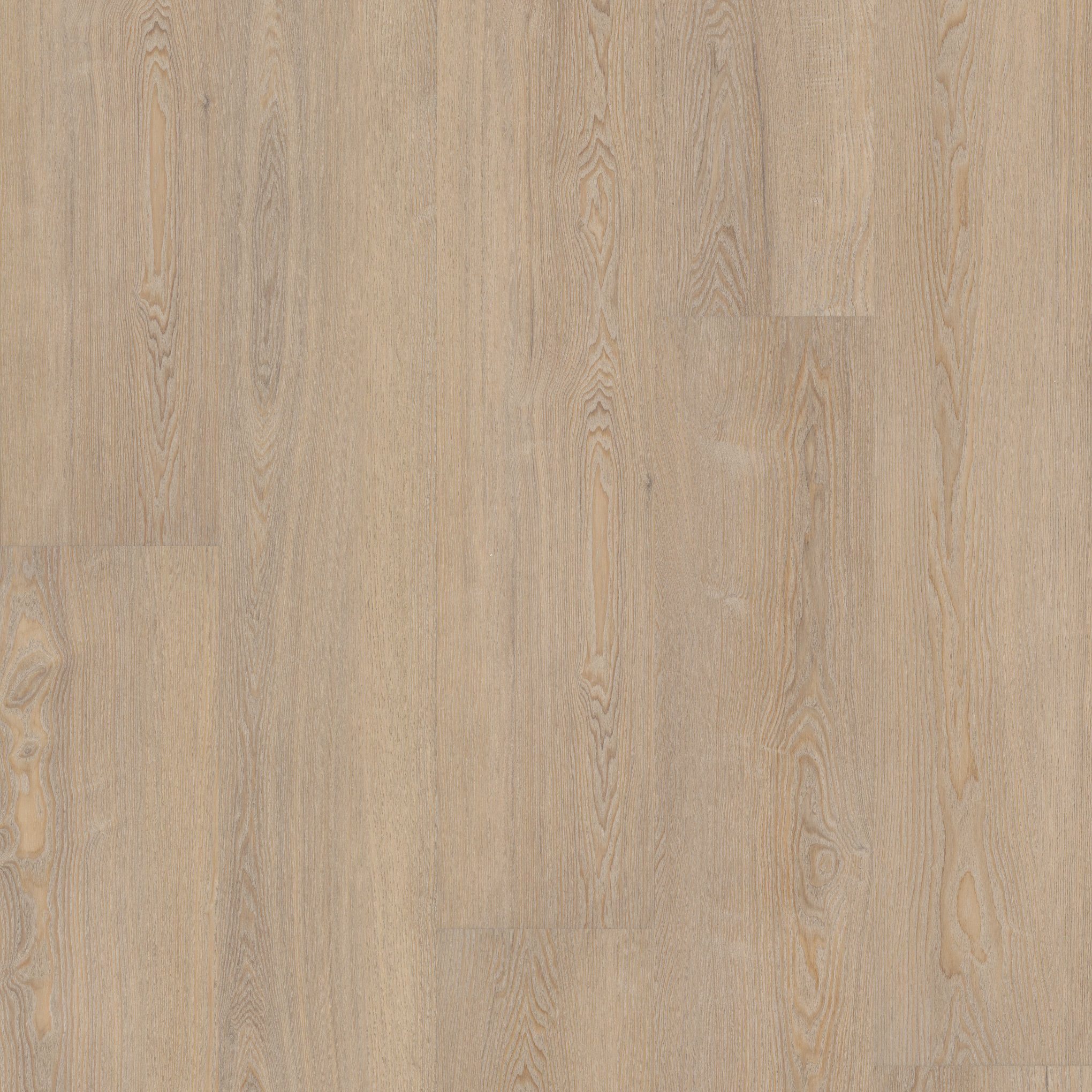 A close up of the wood grain on the floor