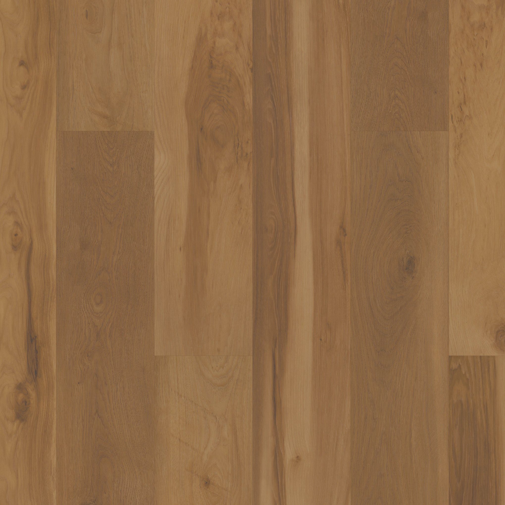 A close up of the wood grain on the floor