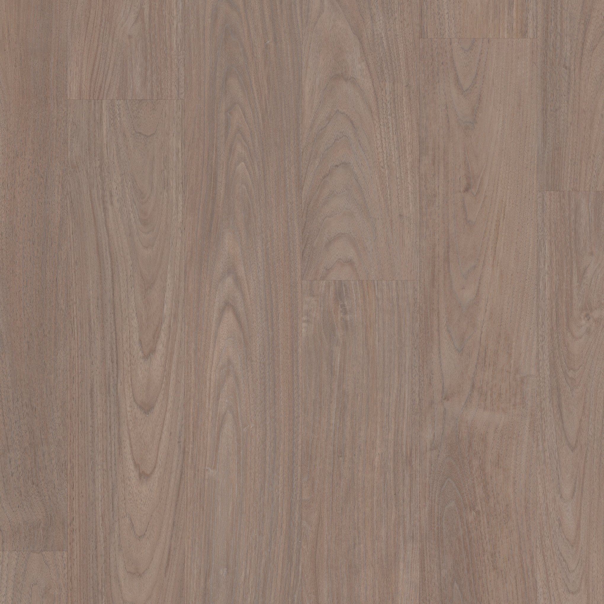A close up of the wood grain on the floor.