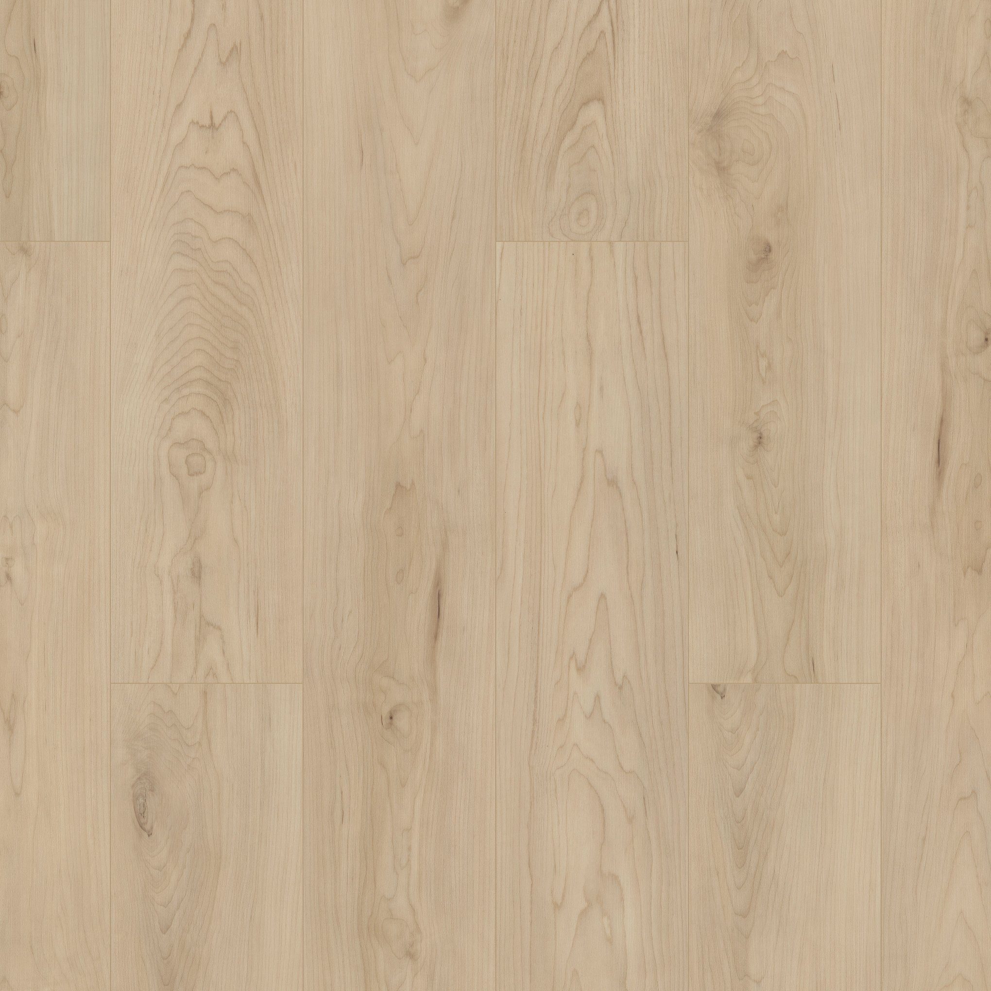 A close up of the floor in a room