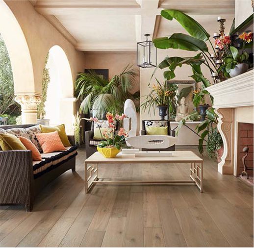 A living room with wooden floors and plants
