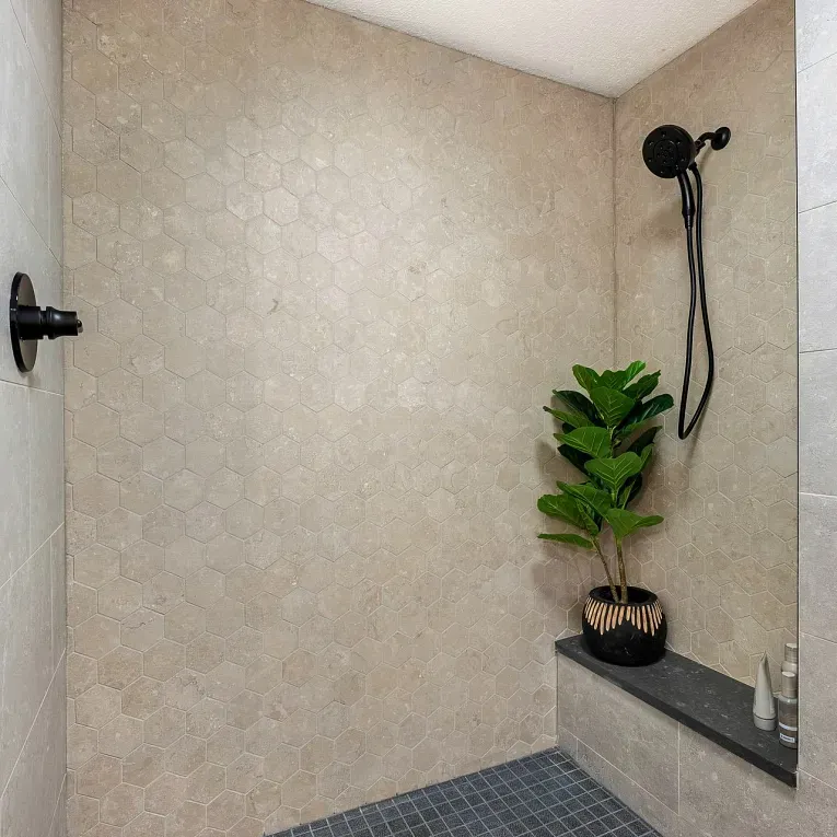 A bathroom with a shower and plants in it