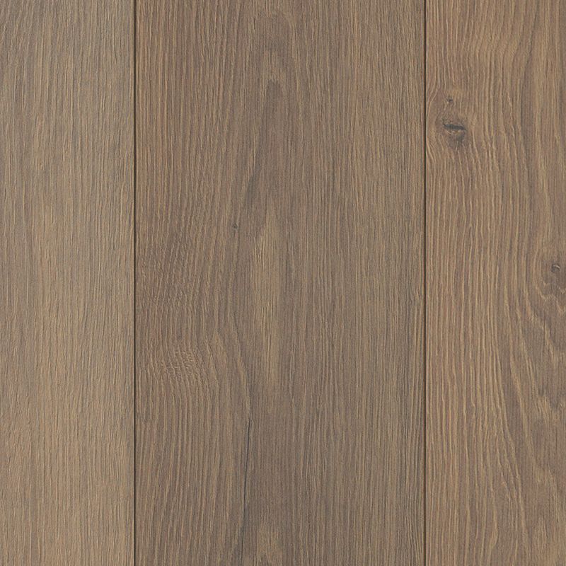 A close up of the wood grain on the floor