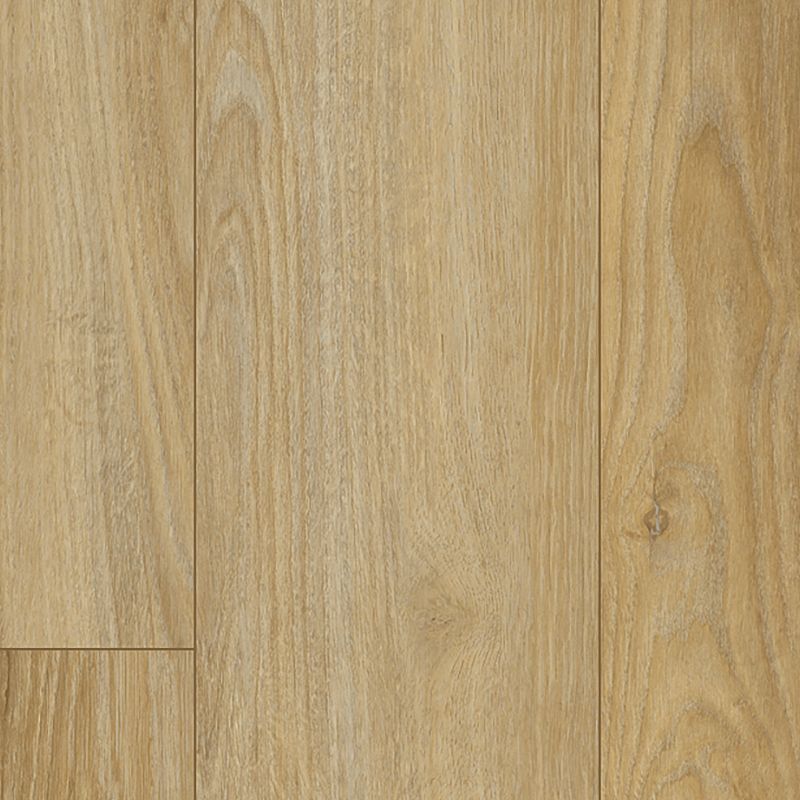A close up of the wood grain on the floor