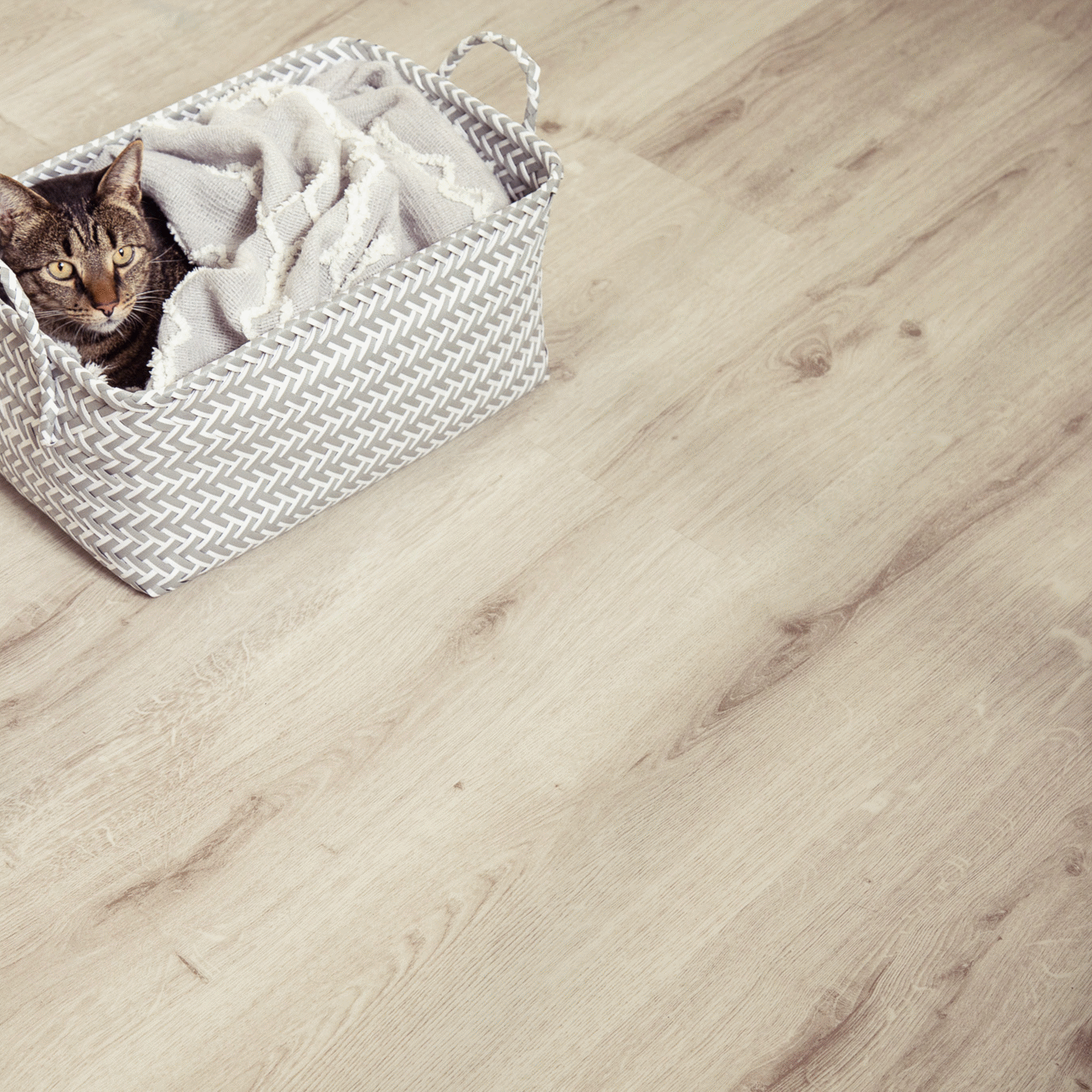 A cat is laying in a basket on the floor