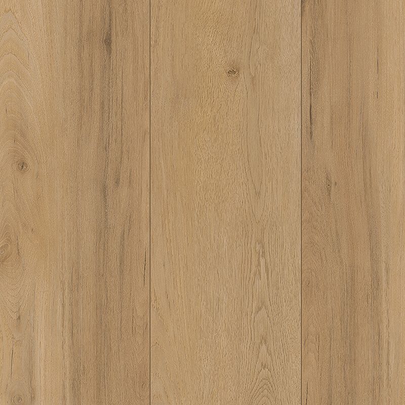 A close up of the wood grain on the floor