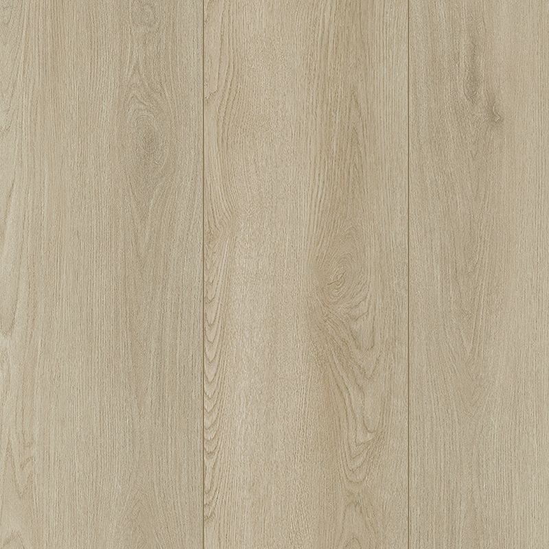 A close up of the floor in a room