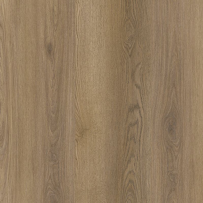 A close up of the wood grain on the floor