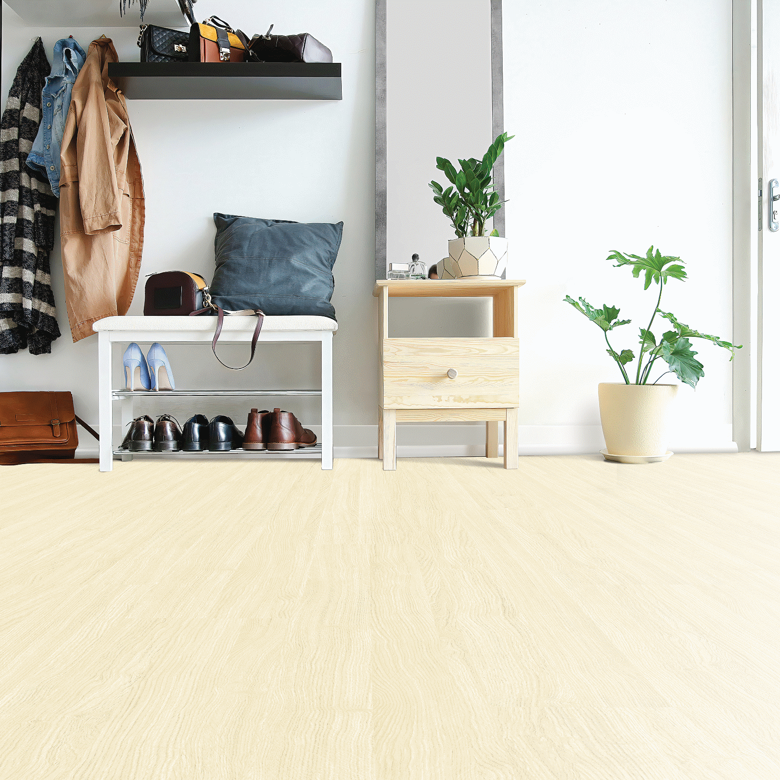 A room with a plant and shoes on the floor