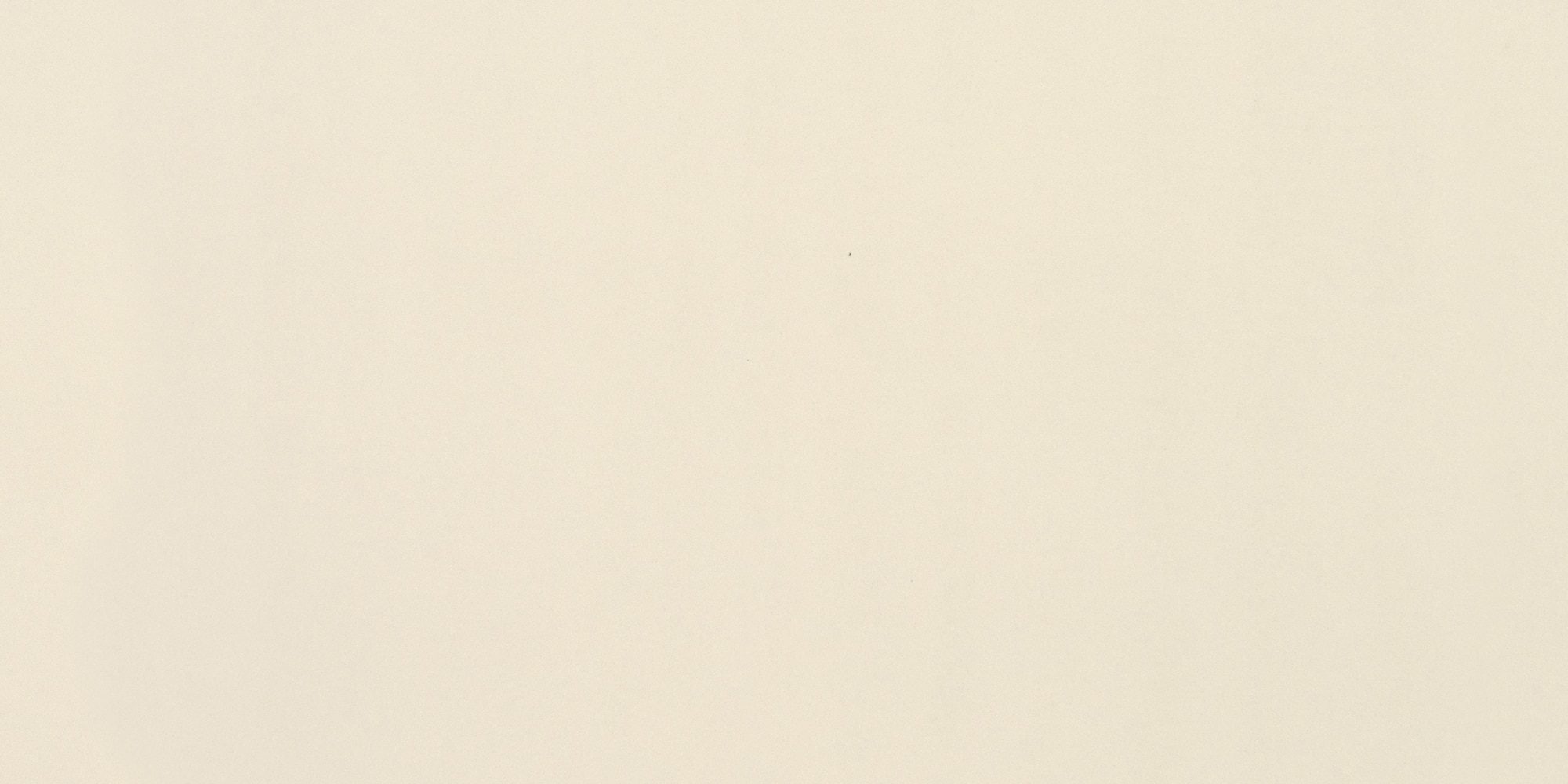 Paint