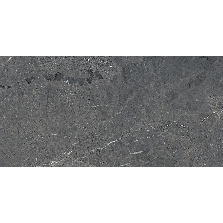 A gray stone surface with some white spots