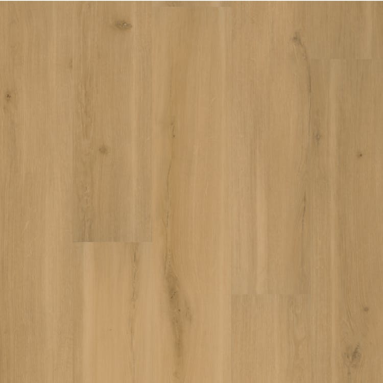Mannington Adura Max Swiss Oak Praline - Image 1