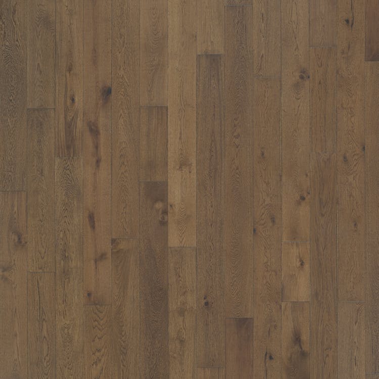 Mannington Prospect Park Trail - Image 1