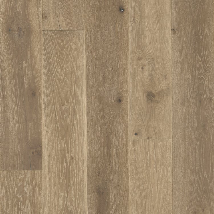 Mannington Sanctuary Dune - Image 1