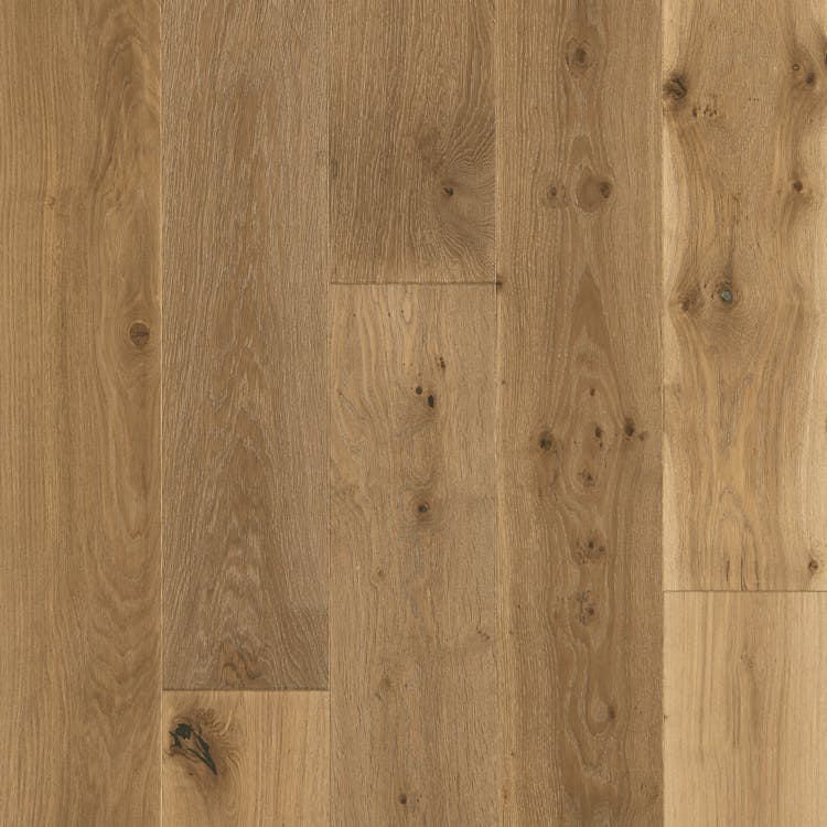 Mannington Sanctuary Oyster - Image 1