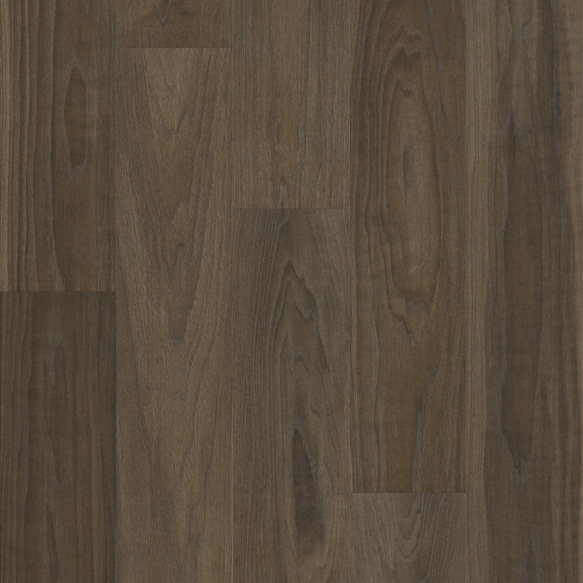 A close up of the wood grain on the floor