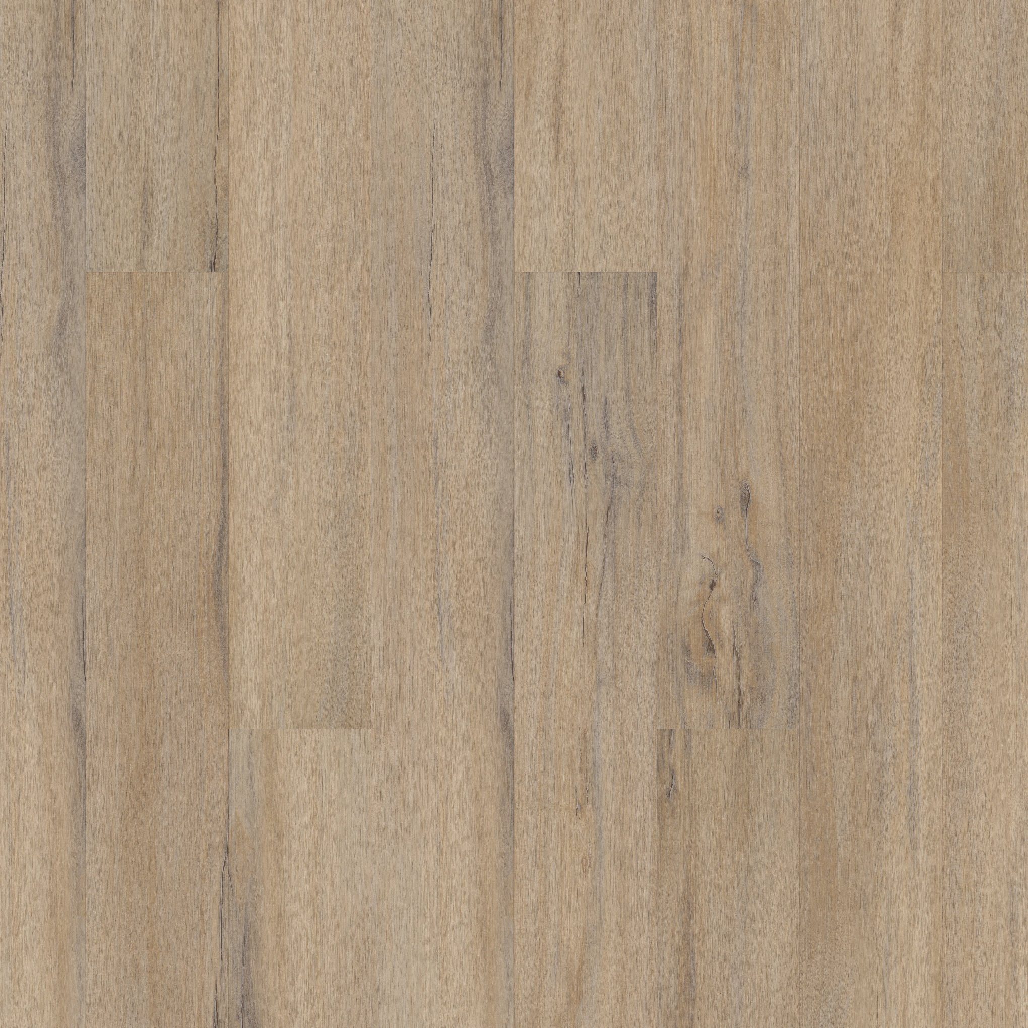 A close up of the wood grain on the floor