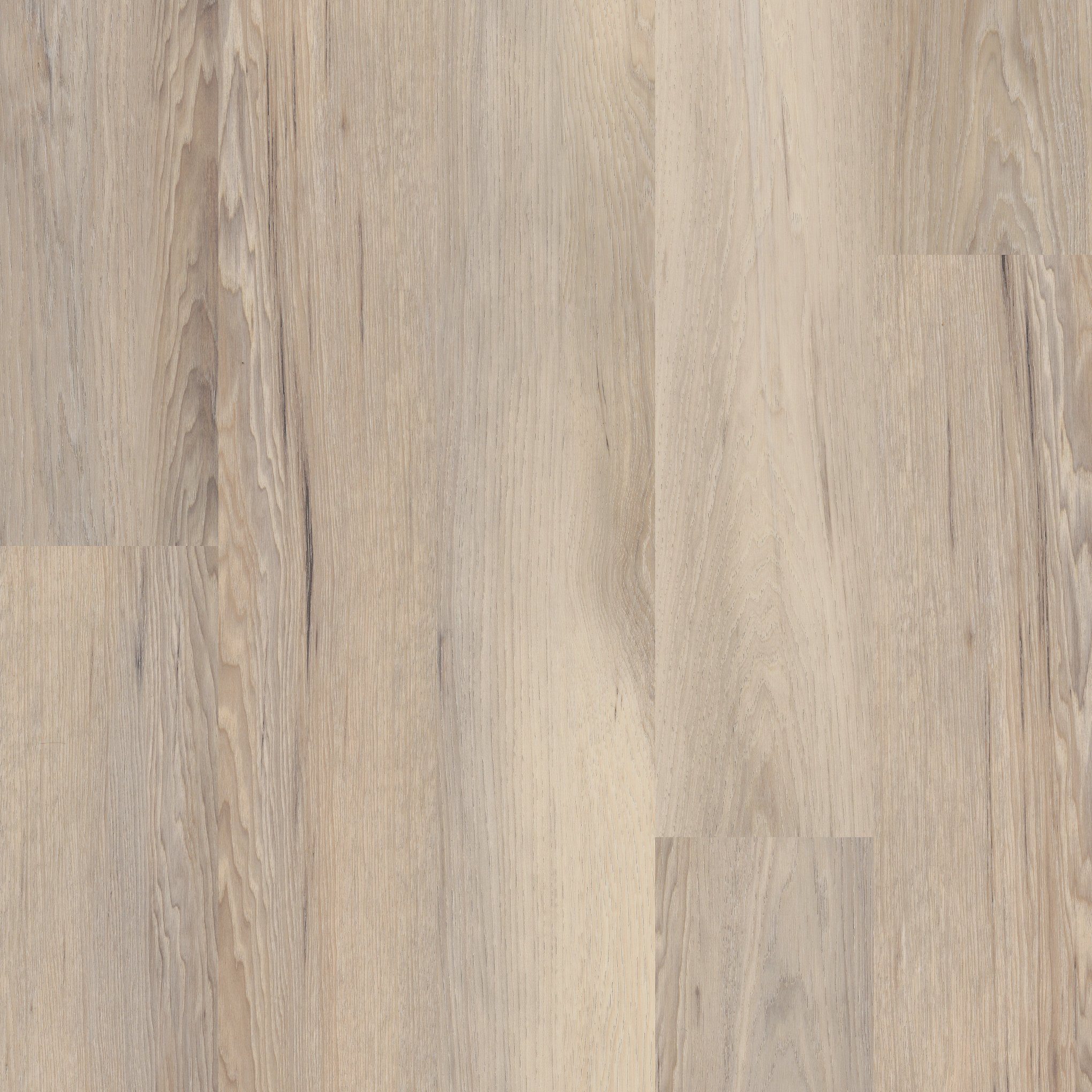 A close up of the wood grain on the floor