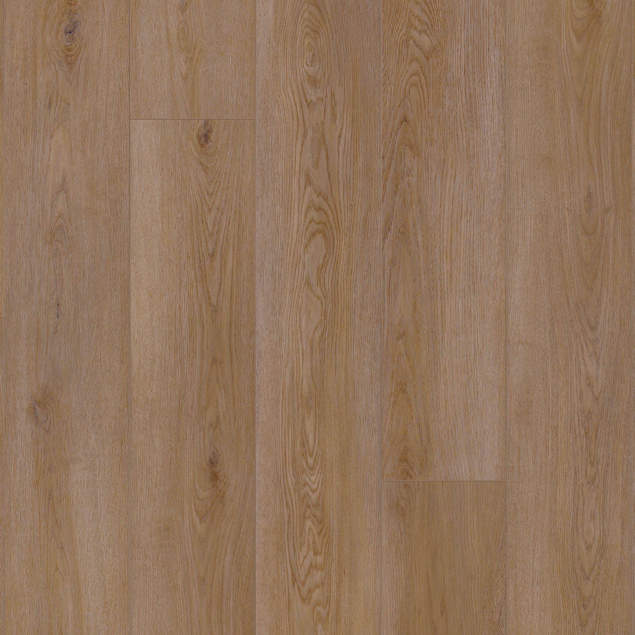 A close up of the wood grain on the floor