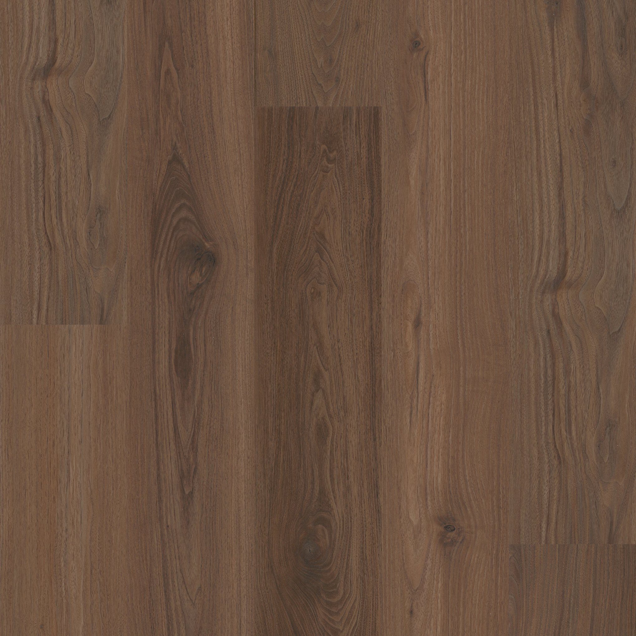A close up of the wood grain on the floor