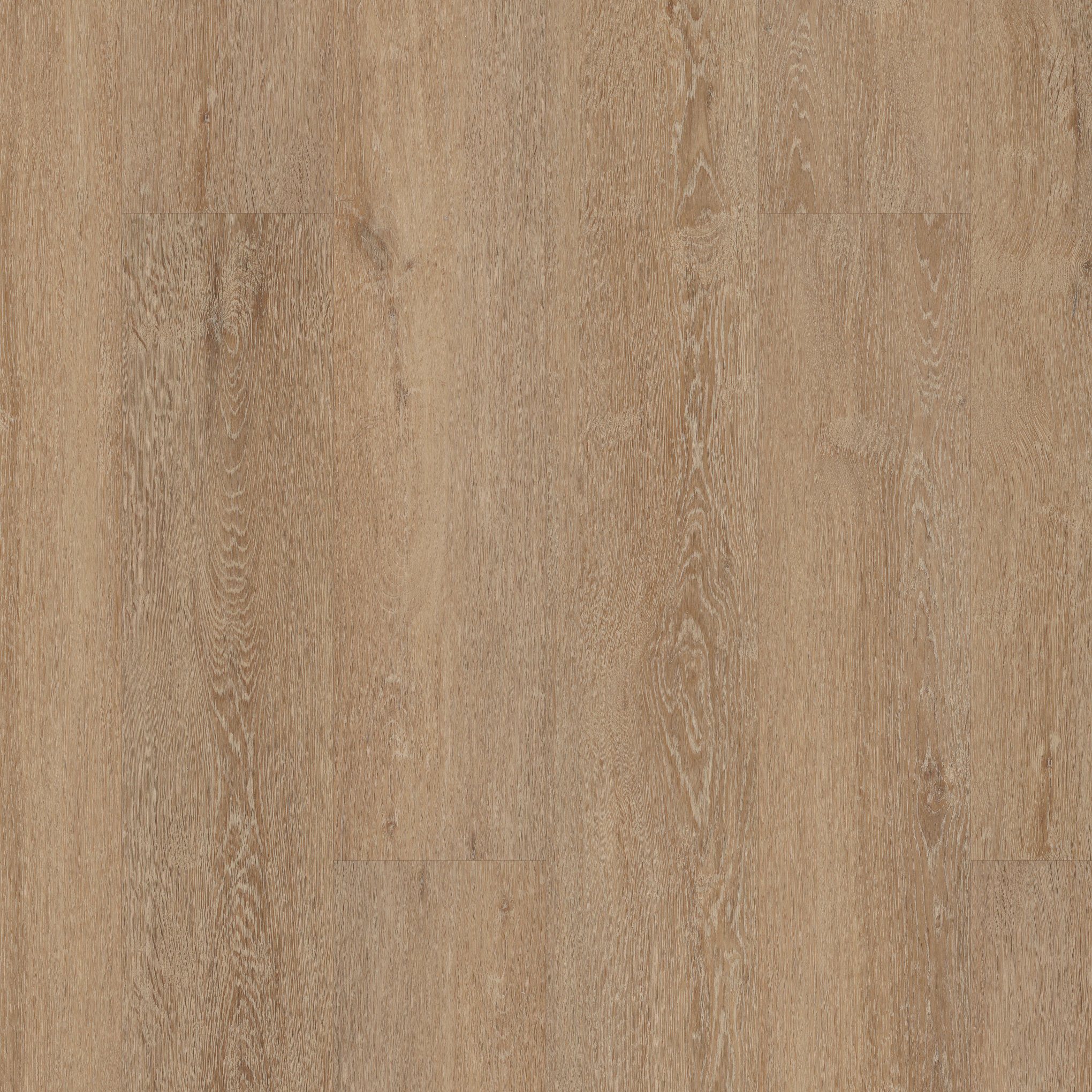 A close up of the wood grain on the floor.