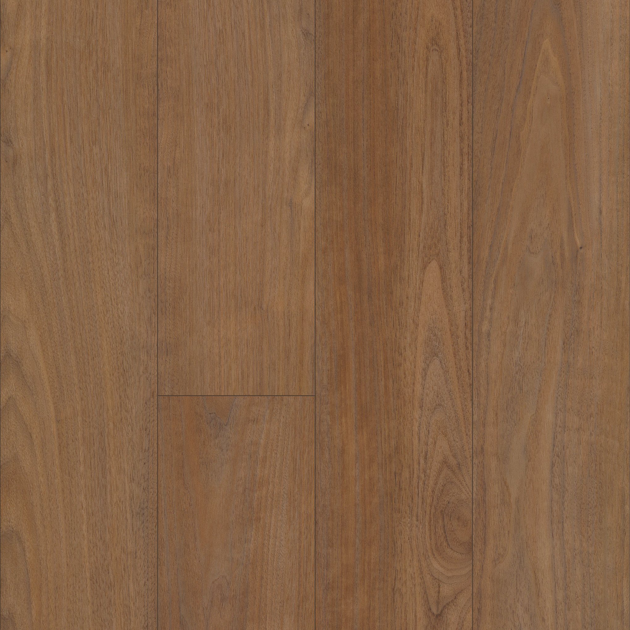 A close up of the wood grain on the floor
