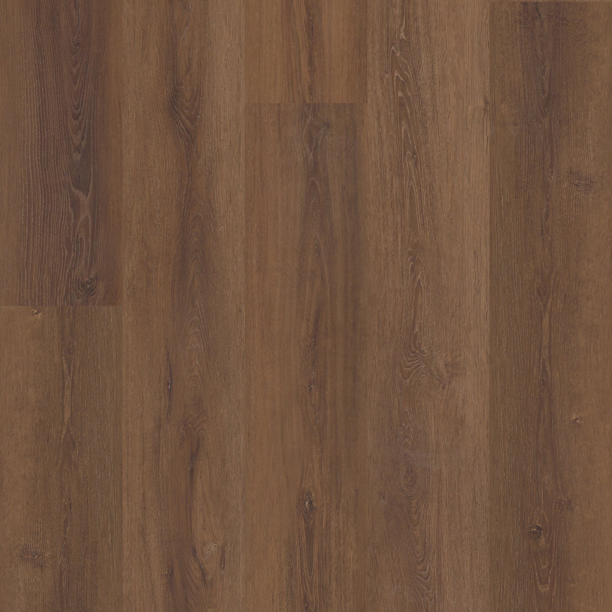A close up of the wood grain on the floor