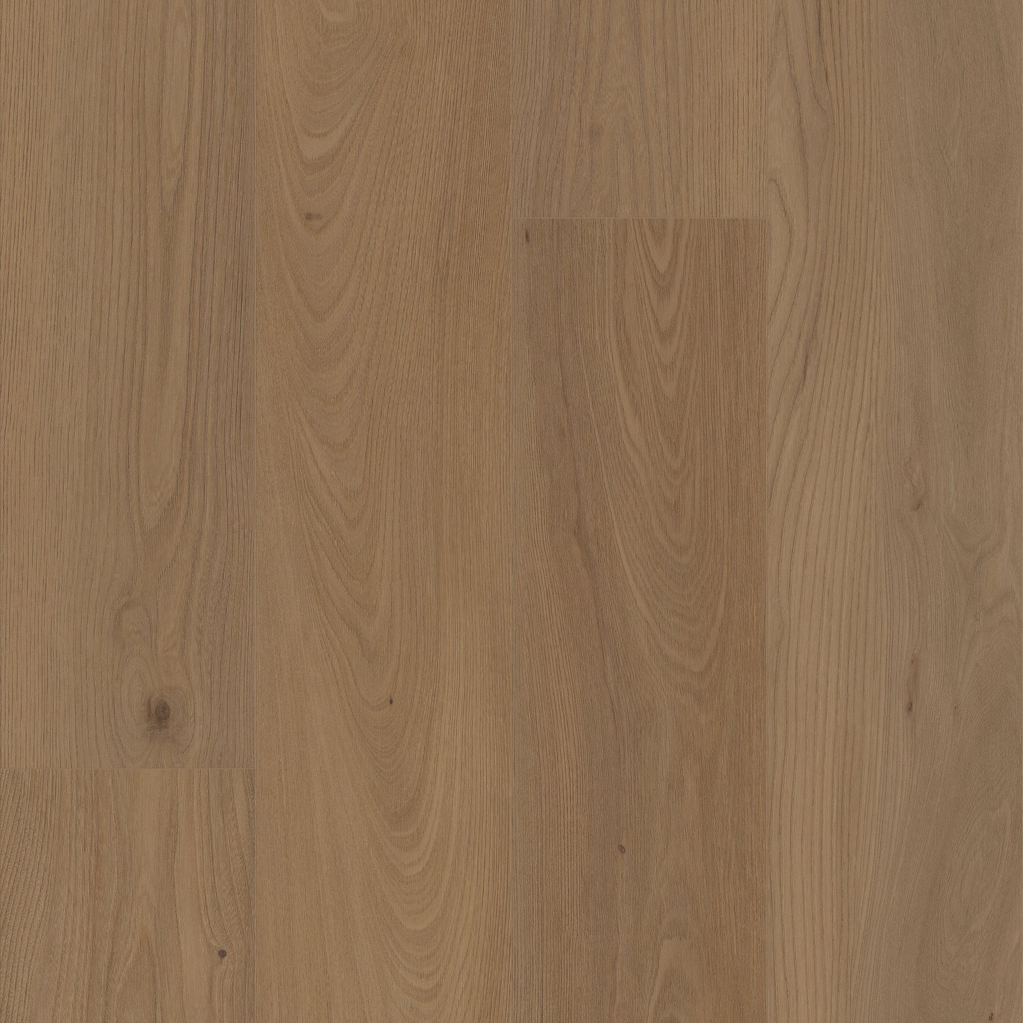 A close up of the wood grain on the floor