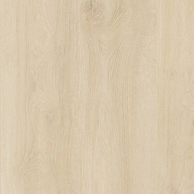 A close up of the wood grain on the floor