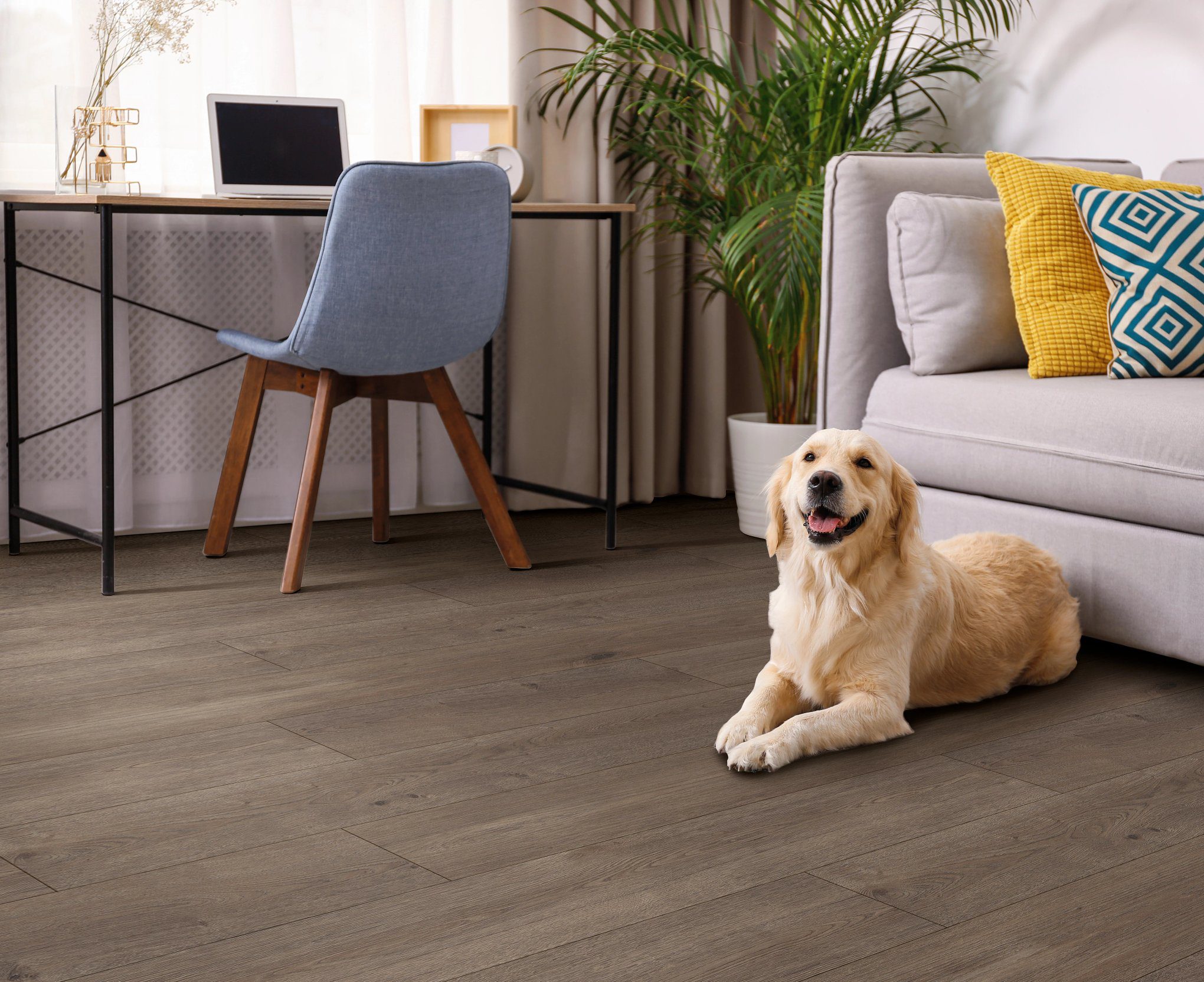 A dog laying on the floor of a living room.