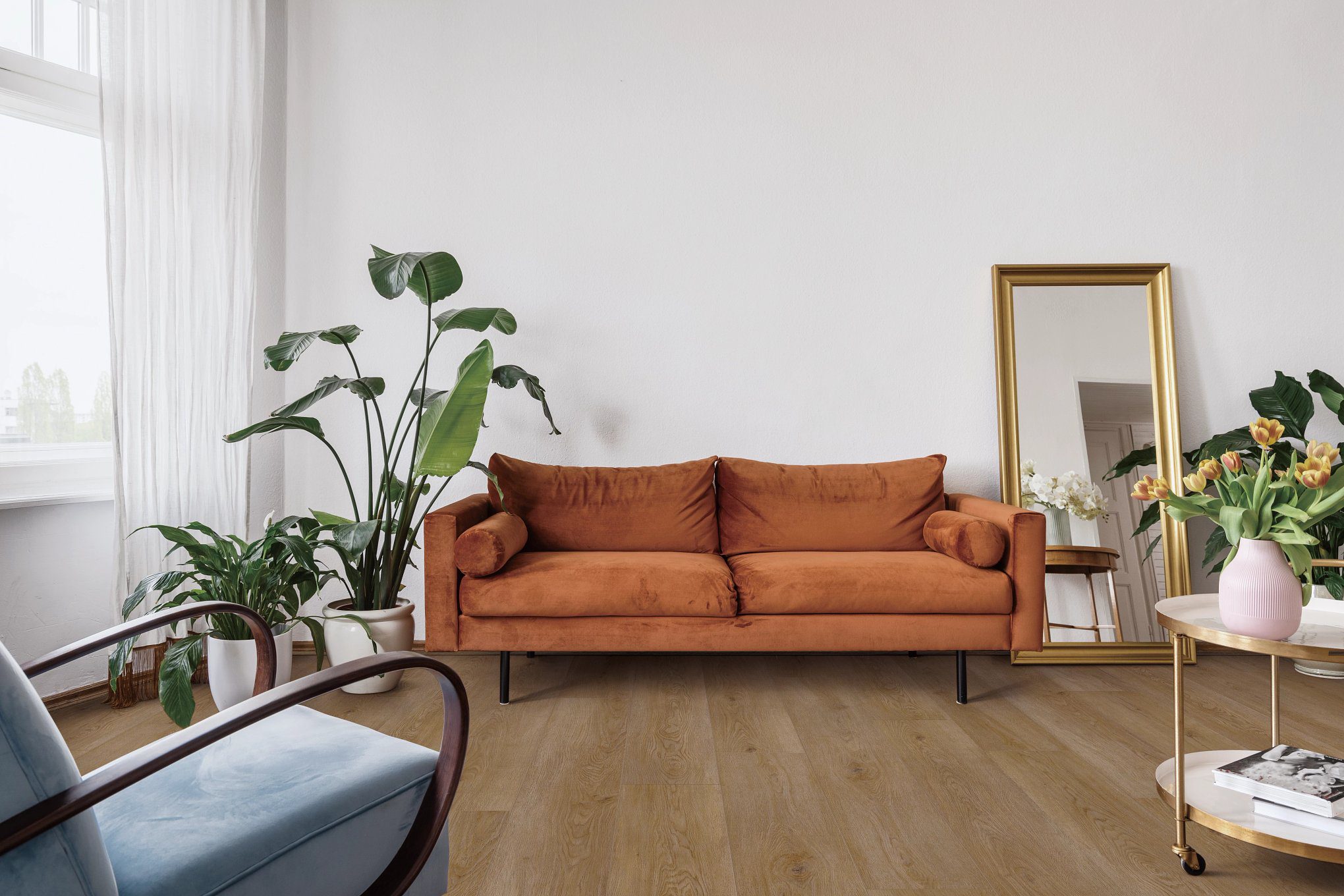 A living room with a couch and plants