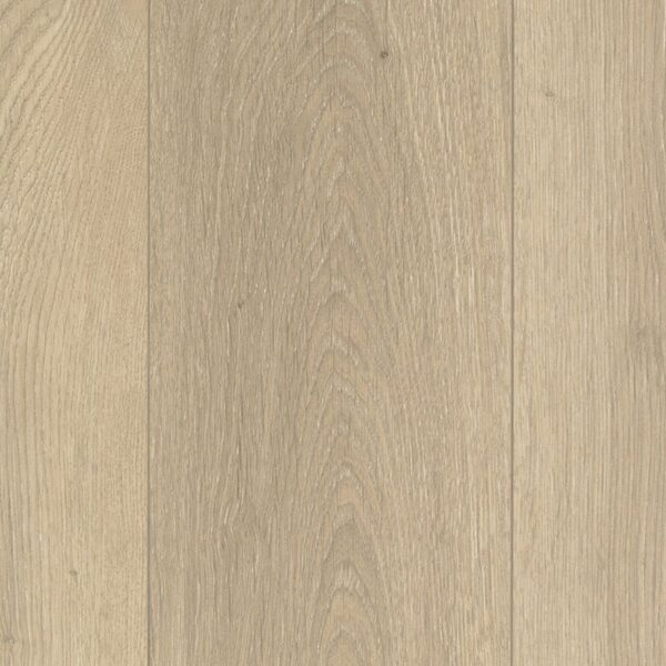 A close up of the wood grain on the floor