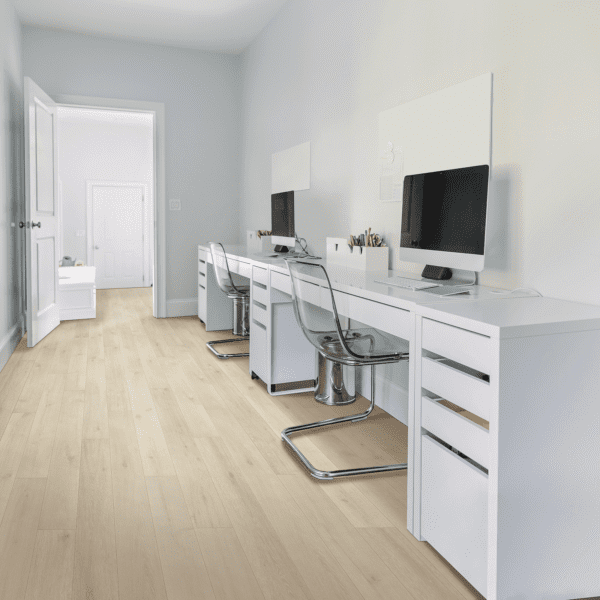 A room with two desks and chairs, one of which has a computer on it.