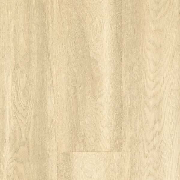 A close up of the floor of a room